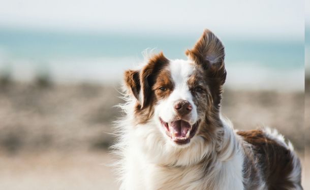 Reglo, Automating ETL process with a Simple Slack Command image